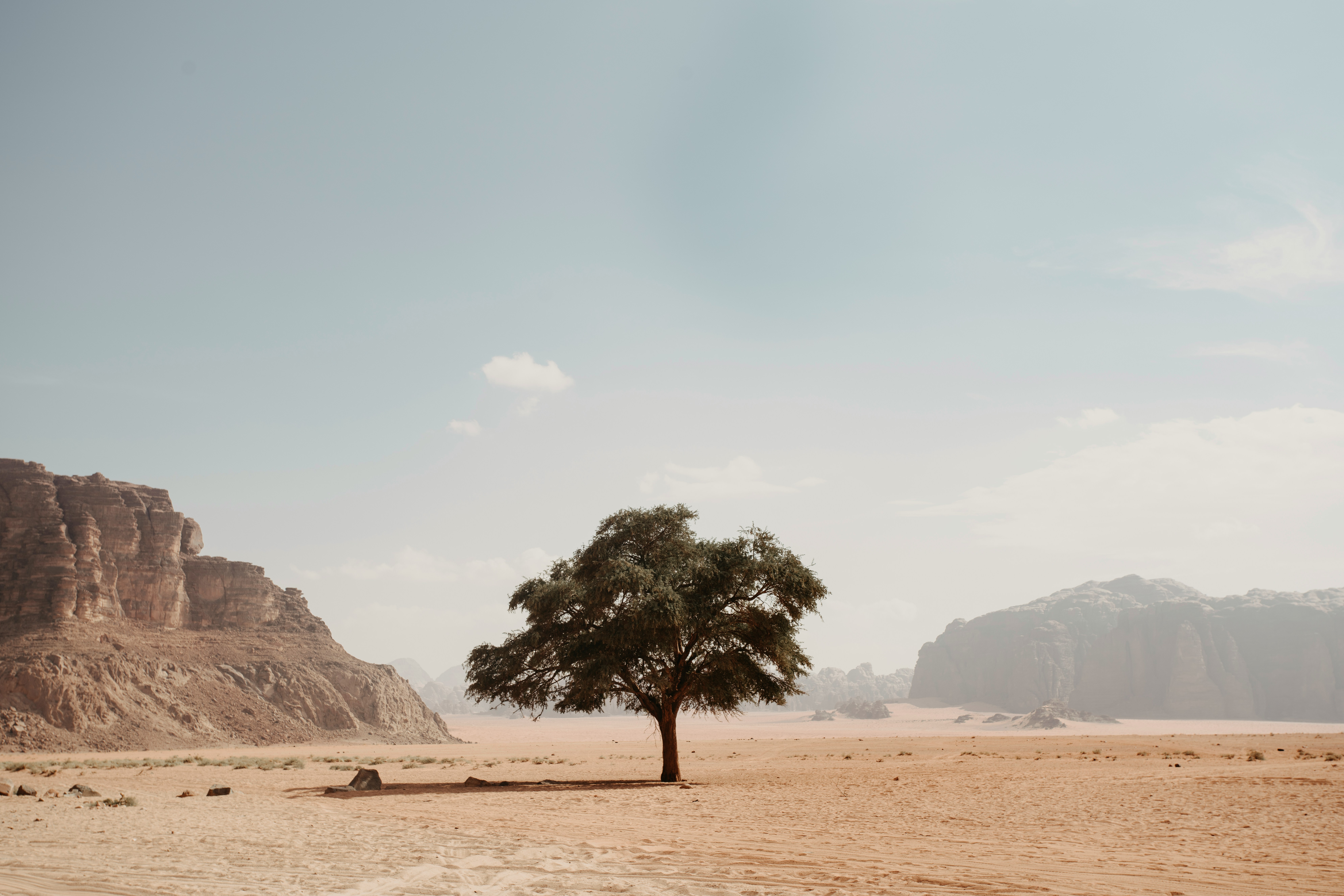 March 2026 – Pexapark